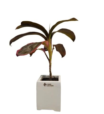 Fibre planter non breakable