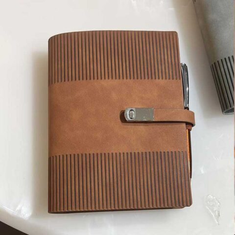 Professional Diary